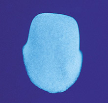 Fluorescence